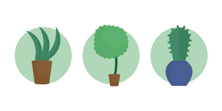 雨水利用の工夫と仕組み