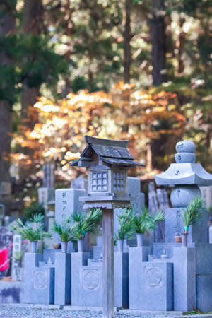 古民家や和風建築に似合うハンギングバスケットデザイン特集