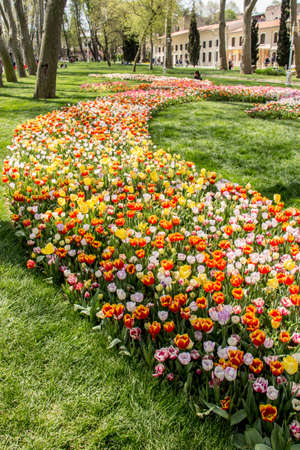 公園や公共スペース向け：大規模花壇の季節別花の提案