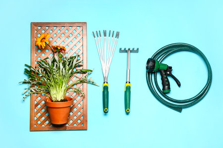 坪庭を活かす家屋との調和と導線設計のコツ