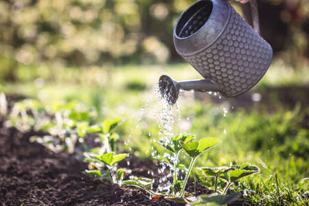 省エネ・節水を同時に実現する自動灌漑システムの導入ガイド