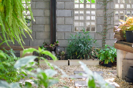 現代住宅に合う和風植物の選び方とアレンジ術