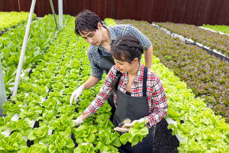 無農薬栽培の課題と日本型エコガーデンの今後の展望