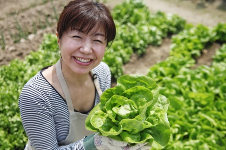 100円ショップグッズで作る！初心者野菜菜園ベスト10アイディア
