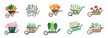 ミント・シソ・バジル：香草による忌避効果と植栽アイディア