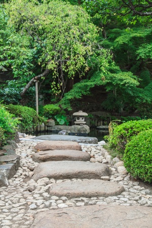 風景としての坪庭：借景や障子との美しい関係