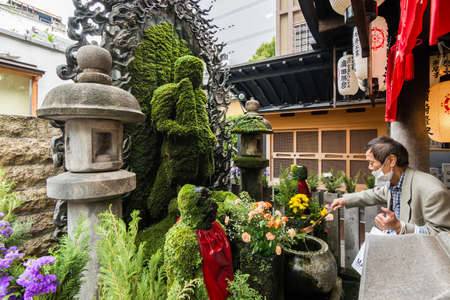 日本の都市環境で実践できる日当たりを確保するDIYアイデア