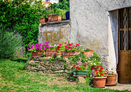 古民家再生と庭リノベーション：自然と親しむ暮らし方