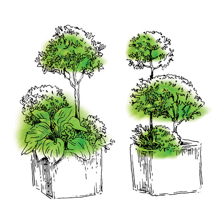 スロウライフに寄り添う香草の育て方