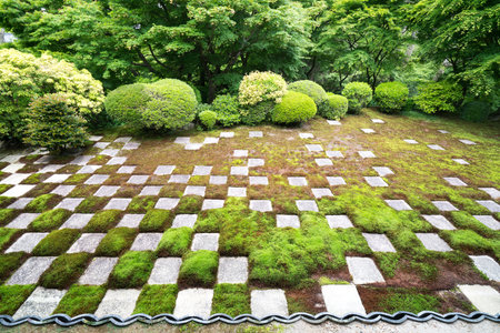 日本の行事と観葉植物：季節を感じる飾り方と風水的意味