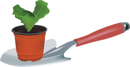 コンポスト導入による土づくりと生態多様性アップのコツ