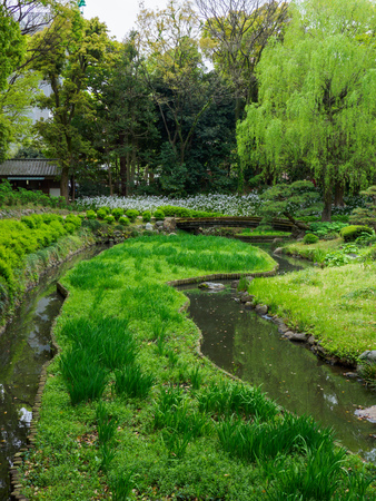 江戸時代の庭園に見る先人のローカル種利用法