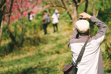 長く美しさを保つ公園風ガーデンの管理術と日本独自の手法