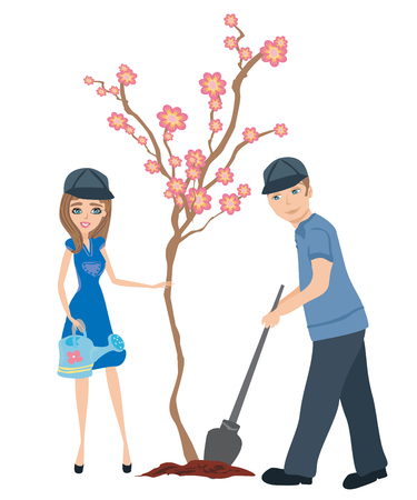 日向と半日陰エリアの見極め方と、それぞれに適した植物一覧