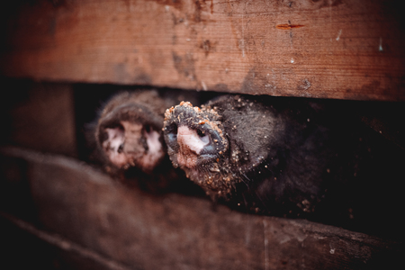 コンテナガーデンでの根腐れ・乾燥防止管理法