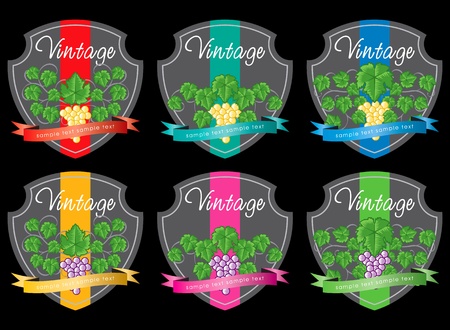 梅雨明けから夏本番に変わる時、水やり回数の見極めポイント