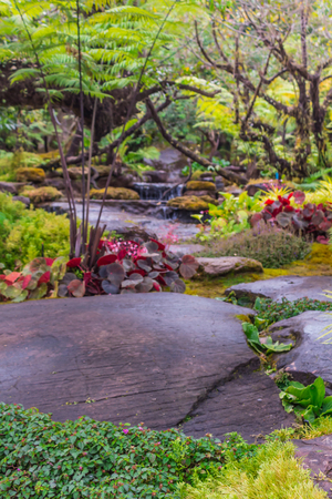 畳や和室に映える観葉植物プランターコーディネート術