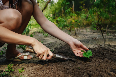四季折々の枯山水：季節ごとの表現と管理方法