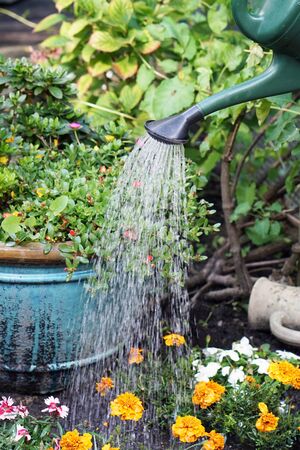 雨水利用と庭園設計：持続可能な和の庭づくり