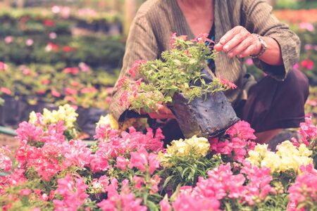 伝統と現代が融け合う和モダンエコガーデンの魅力