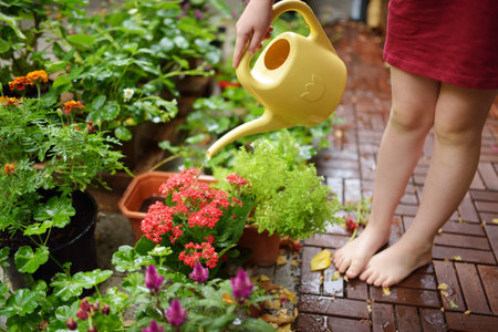 春のガーデニングで失敗しない肥料と土の選び方