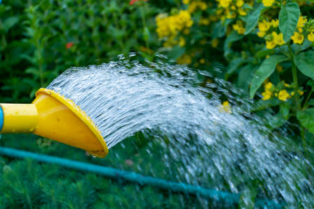 湧き水や井戸水の活用事例と雨水利用との比較