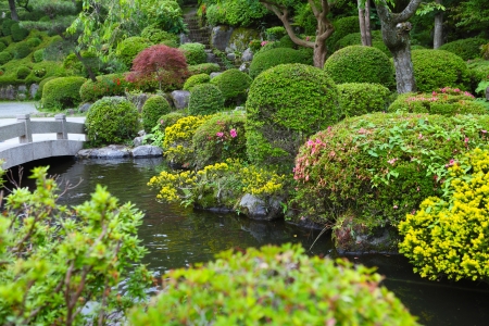 日本在来植物に合わせた鉢・プランターの選び方ガイド