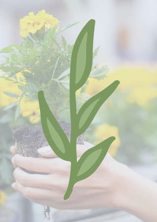 日当たりと置き場所の工夫