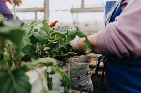 自治体支援を利用したコミュニティ・エコガーデンの始め方