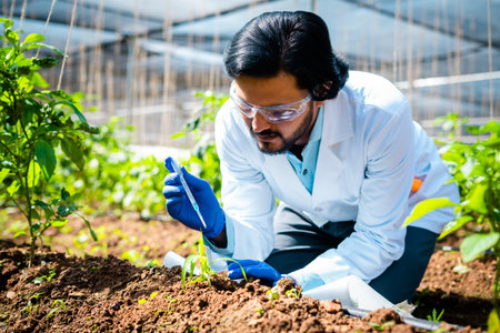 土壌微生物とガーデニングの関係：豊かな土を育てるために