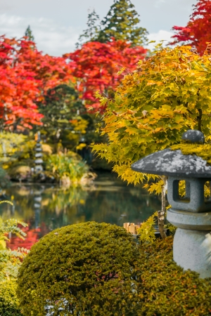 和風モダンなインテリアに合う観葉植物の選び方と飾り方