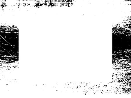 夏：成長を楽しむ栽培と管理