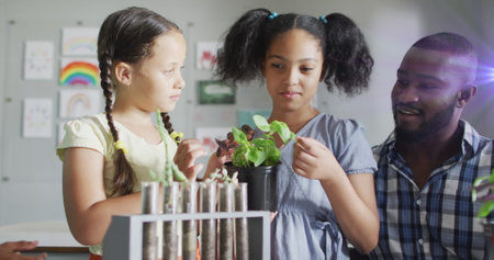 小学生が楽しめる観葉植物のアイディア
