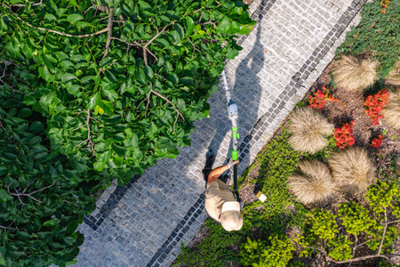 和風庭園づくりに必要な伝統的な道具と現代道具の使い分け