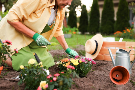 花壇づくり初心者必見！日当たりを考えたデザインと配置のアイディア