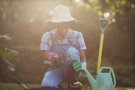 年間を通じて楽しめる四季の花壇プランニング入門