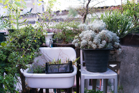 都市型ベランダで風による乾燥・植物ストレスを防ぐアイデア集