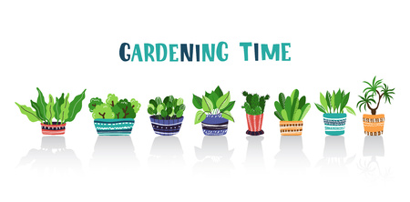 花苗選びから仕上げまで：初心者向け色彩調和ガイド