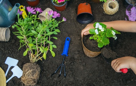 コンポストでつながる地域コミュニティの活動と新しい暮らし方