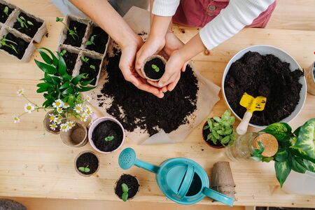 都市型マンションのベランダ緑化と風水：日本スタイルの提案