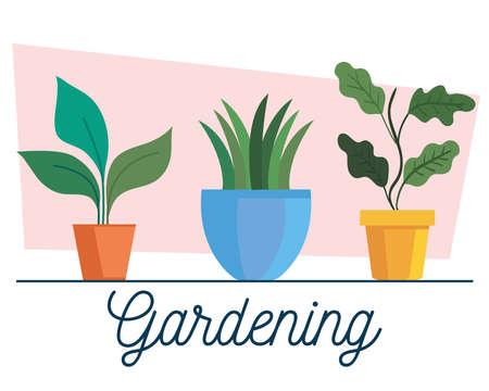 唐辛子エキスの自作と活用例