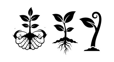 よしずの魅力と伝統的な使い方