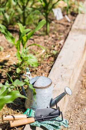 おしゃれで環境にやさしい金属リサイクル製園芸ツール特集