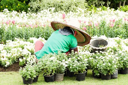 日本の里山の草花を取り入れたナチュラルハンギングバスケット術