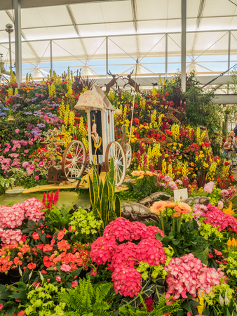 サステナブル園芸グッズ市場の日本国内最新動向レポート