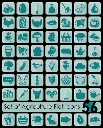 ベランダ園芸初心者向け：見せる収納で始める手軽なグリーンライフ