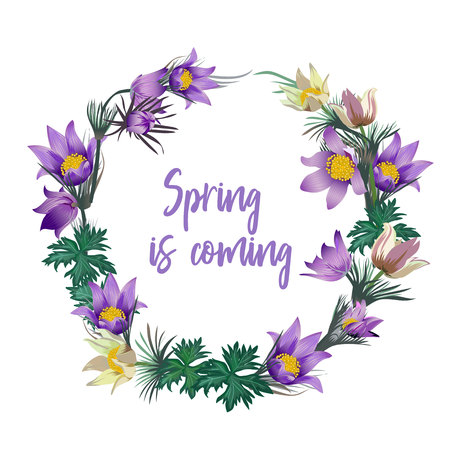 小さなスペースでも楽しめる有機野菜づくり